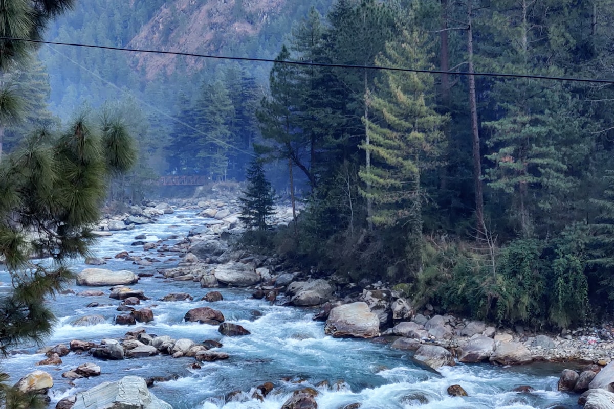 Dashain & Tihar Festival Experience