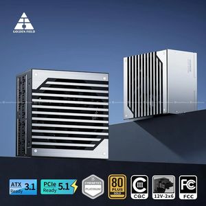 Golden F GPG1050B 1050W 80+Platinium Power Supply